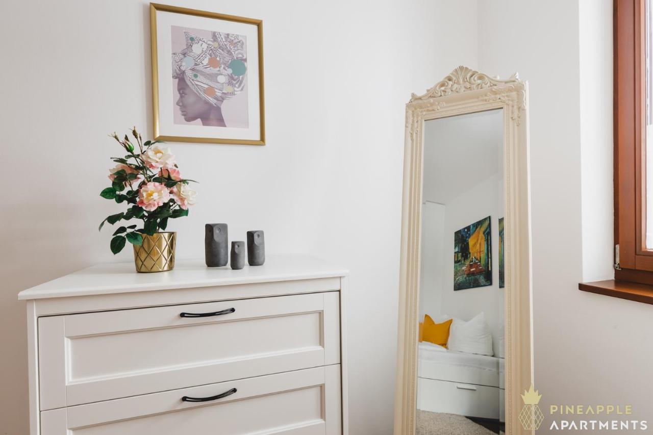 Pineapple Apartments Palais Am Neumarkt - 90 Qm - 1X Free Parking Drážďany Exteriér fotografie